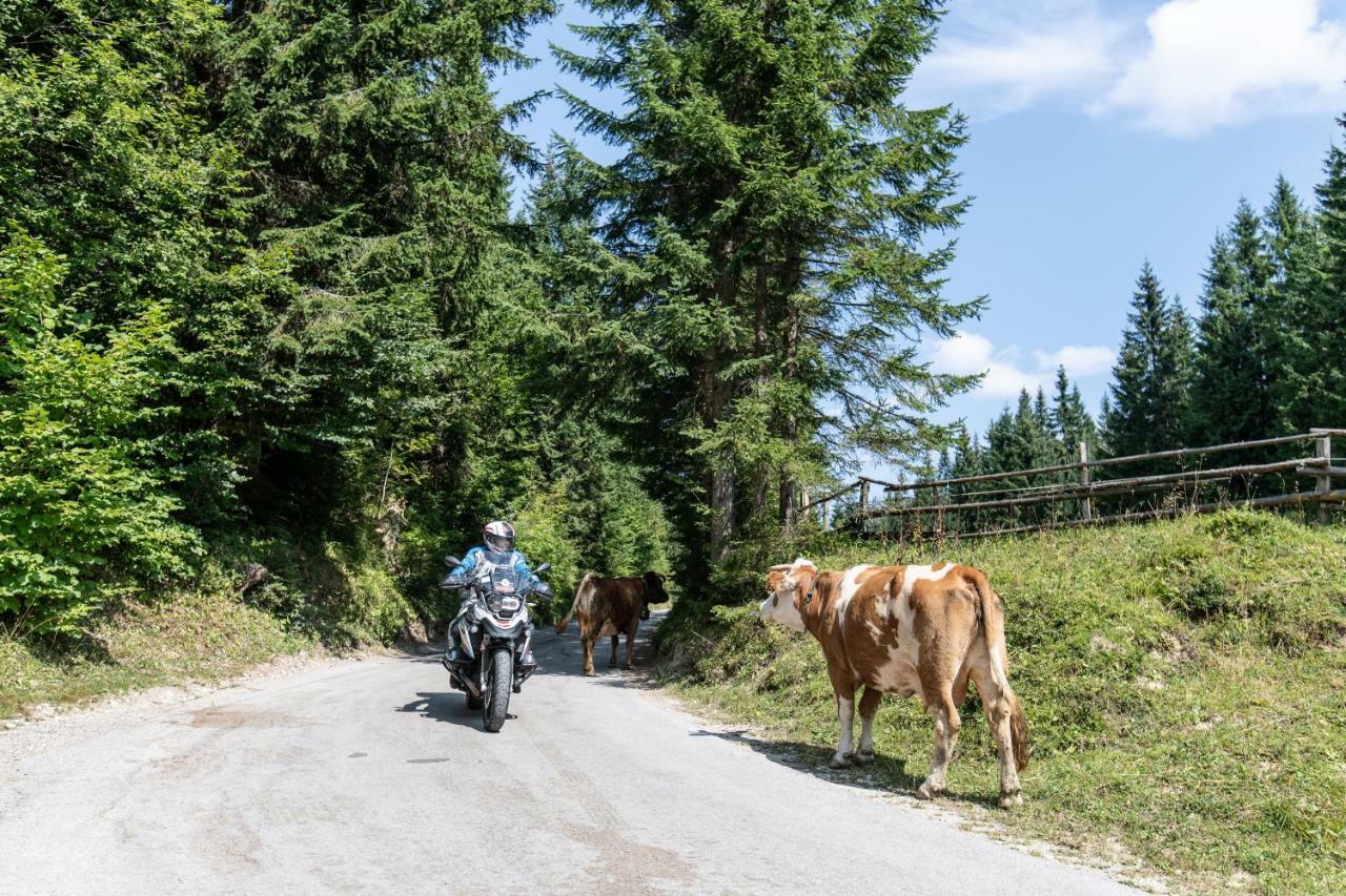 Ferienwohnungen Panorama Harrys Bike Tours Villach Ngoại thất bức ảnh